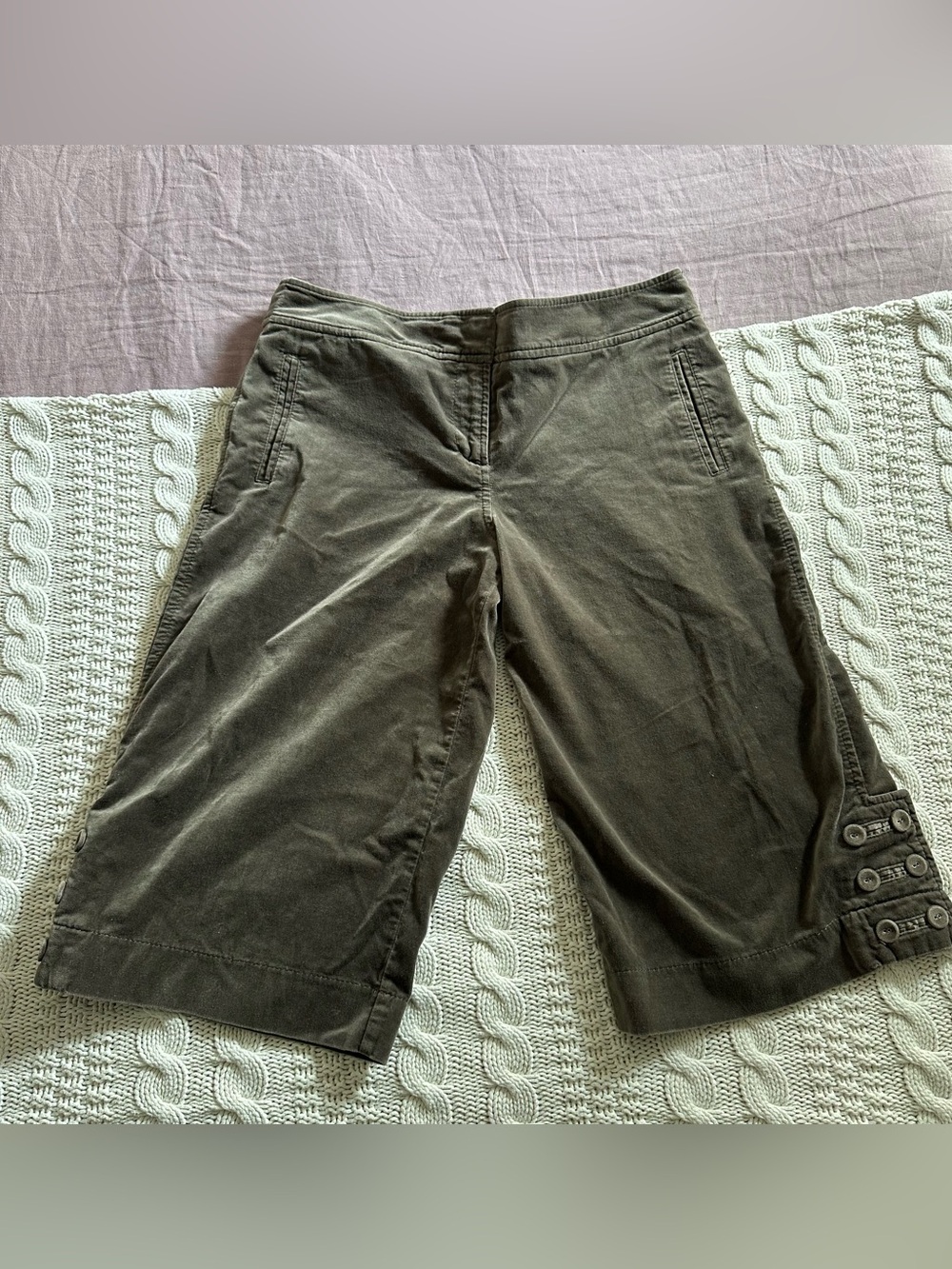 Ann Taylor Loft Olive Green/Brown Capris